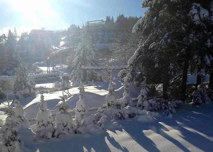 Apartamento Fewo-winterberg